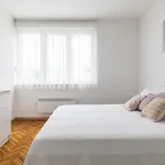 Apartment Aja