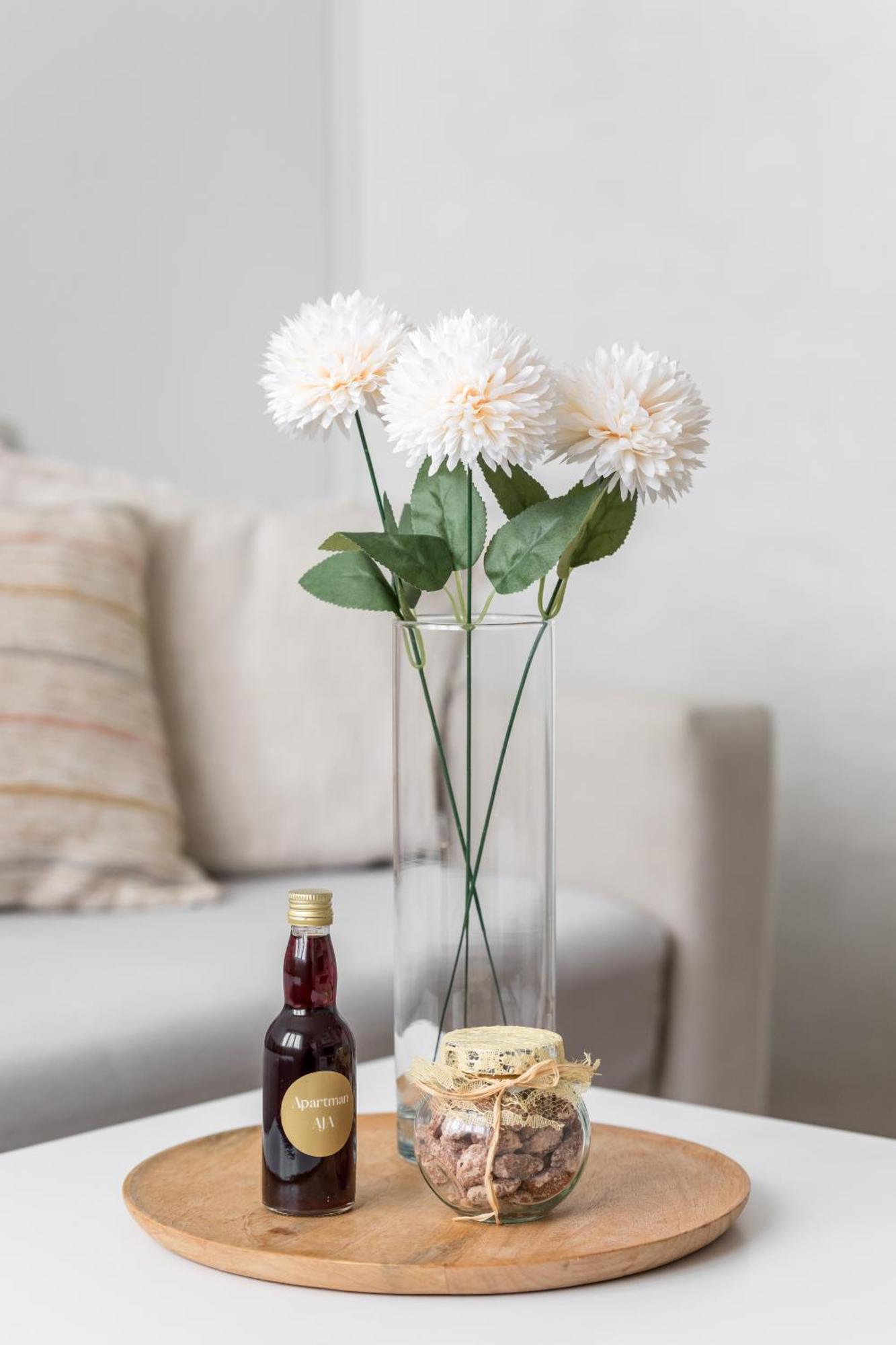 Apartament Aja